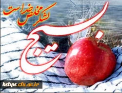 هفته بسیج گرامی باد