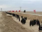 اعزام کاروان زیارتی راهیان نور 3