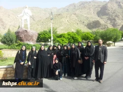 همایش پیاده روی