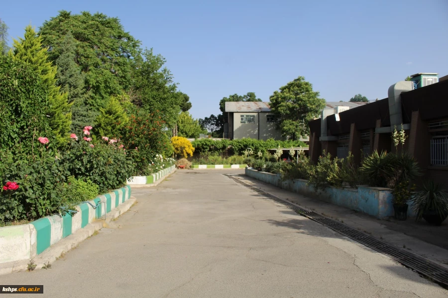 محوطه پردیس