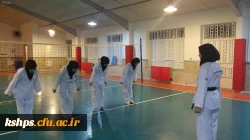 دوره آموزش تکواندو