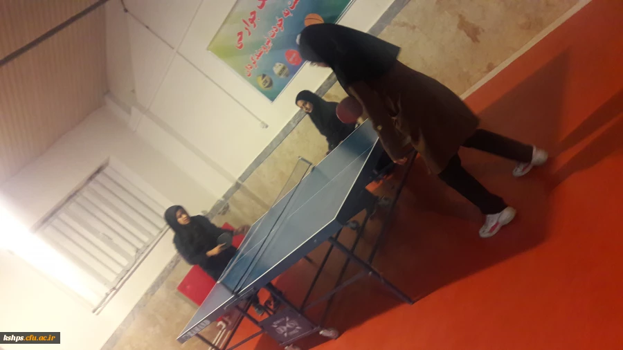 مسابقه تنیس روی میز