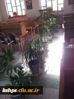 هفته درختکاری 2