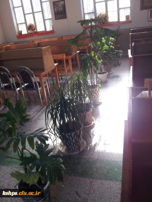 بزرگداشت  روز درختکاری