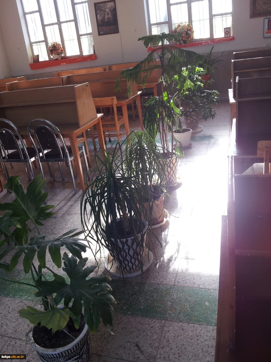 هفته درختکاری 2