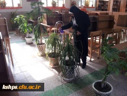 هفته درختکاری 3