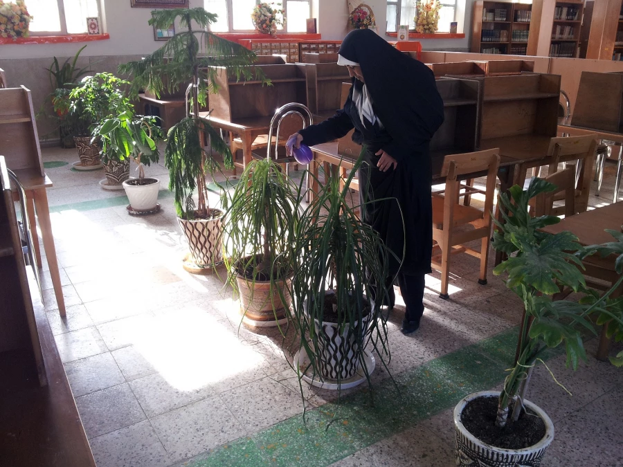 هفته درختکاری 3