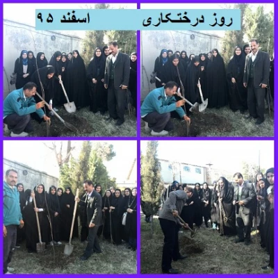 هفته درختکاری 4