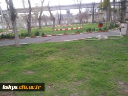 ستاد استقبال و اسکان نوروزی دانشگاه فرهنگیان ، پردیس شهید صدوقی کرمانشاه 4