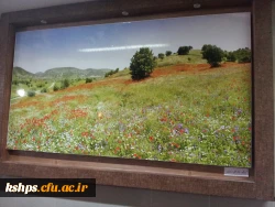 ستاد استقبال و اسکان نوروزی دانشگاه فرهنگیان ، پردیس شهید صدوقی کرمانشاه 27