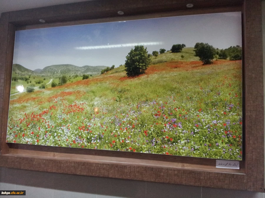 ستاد استقبال و اسکان نوروزی دانشگاه فرهنگیان ، پردیس شهید صدوقی کرمانشاه 27