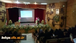 برگزاری مراسم بزرگداشت ولات امیر المومنین علی ( ع)  2