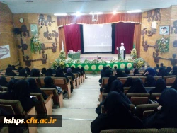 برگزاری همایش مسافران کربلا