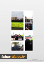 image_2018_11_4-15_50_41_150_1Ly