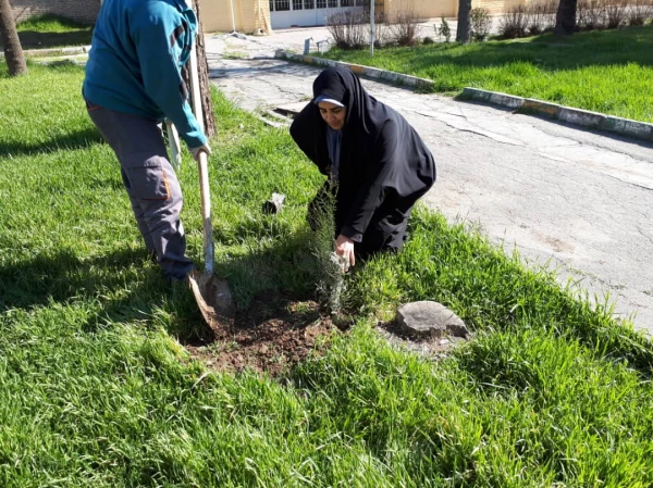 غرس نهال به مناسبت درخت کاری در پردیس شهید صدوقی  2