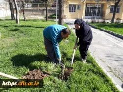 غرس نهال به مناسبت روز درخت کاری در پردیس شهید صدوقی  6