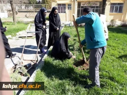 غرس نهال به مناسبت  روزدرخت کاری در پردیس شهید صدوقی  4