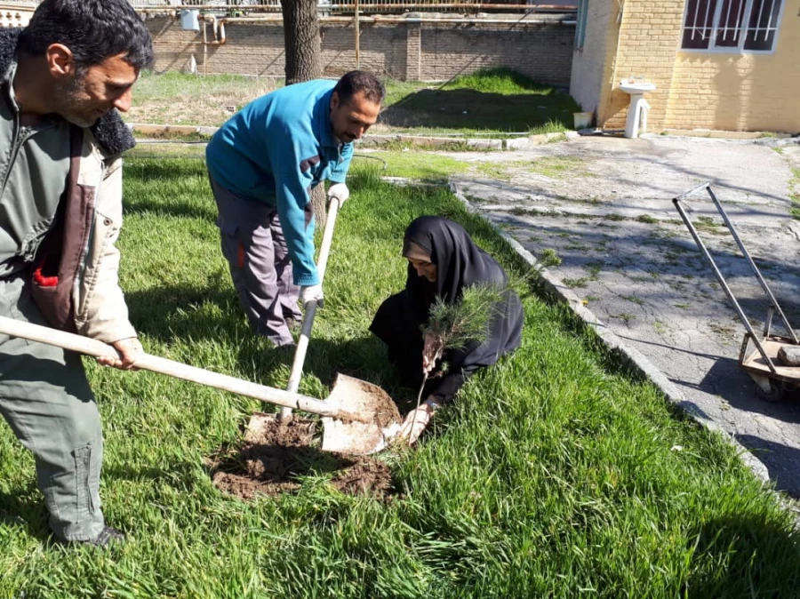 غرس نهال به مناسبت درخت کاری در پردیس شهید صدوقی  5