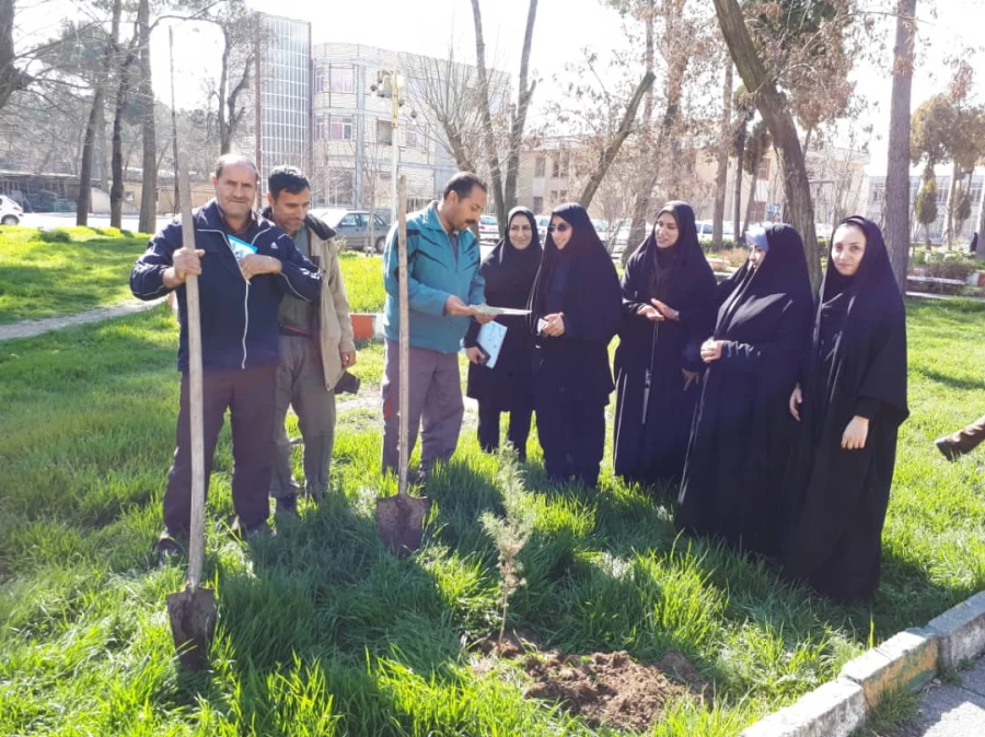 غرس نهال به مناسبت درخت کاری در پردیس شهید صدوقی  8