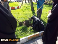 غرس نهال به مناسبت درخت کاری در پردیس شهید صدوقی  9