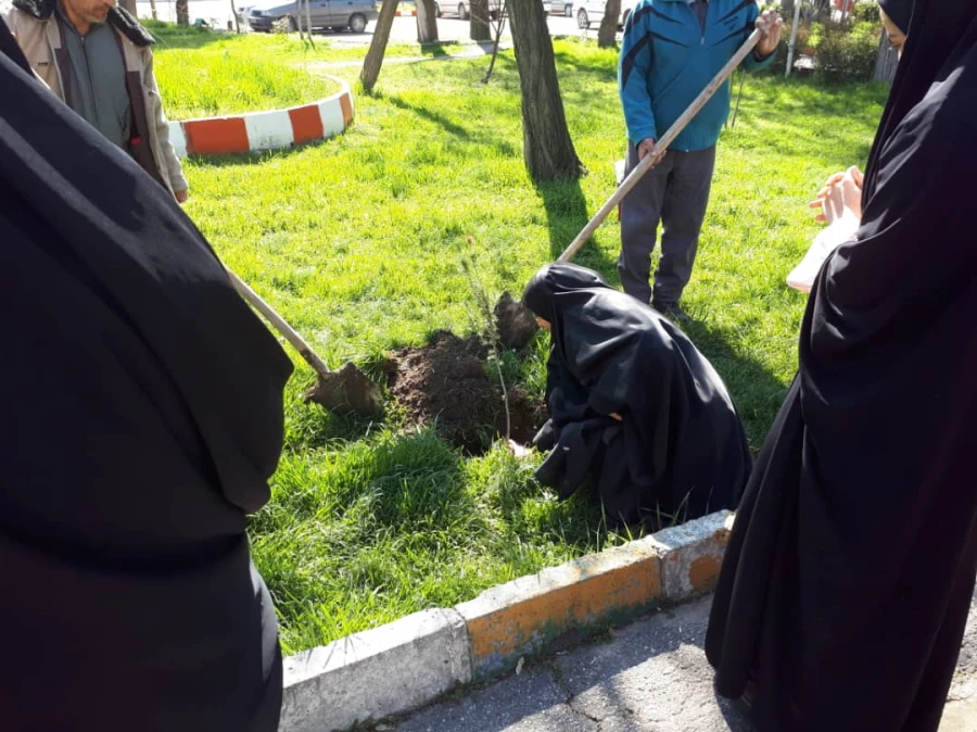 غرس نهال به مناسبت درخت کاری در پردیس شهید صدوقی  9