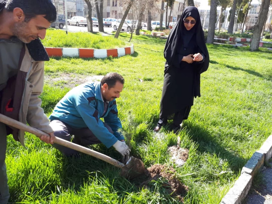 غرس نهال به مناسبت درخت کاری در پردیس شهید صدوقی  10