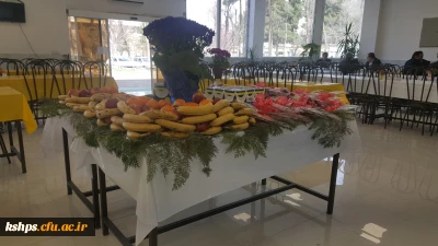 گرامیداشت ولادت حضرت علی (ع) و روز پدر