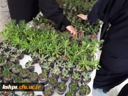 نمایشگاه گل و گیاه و پخت آش محلی در پردیس به مناسبت هفته سراهای دانشجویی  4