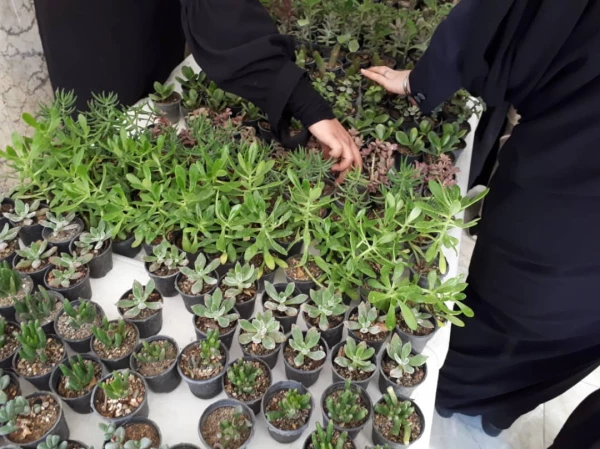 نمایشگاه گل و گیاه و پخت آش محلی در پردیس به مناسبت هفته سراهای دانشجویی  4