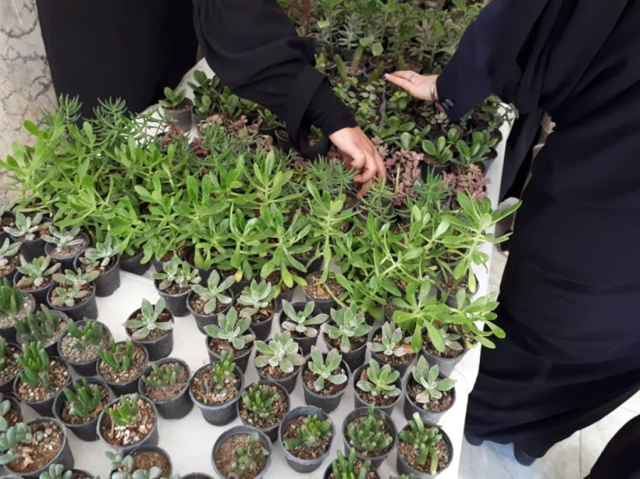 نمایشگاه گل و گیاه و پخت آش محلی در پردیس به مناسبت هفته سراهای دانشجویی  4