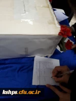 956de818-ba2f-49d5-9aea-27a6967d69f6