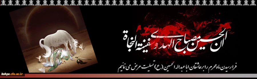 119674d4-1f29-4a90-ab86-de46e0d94a9e_banner-design-website2