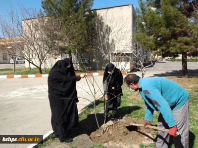 غرس نهال در روز درختکاری در پردیس شهید صدوقی