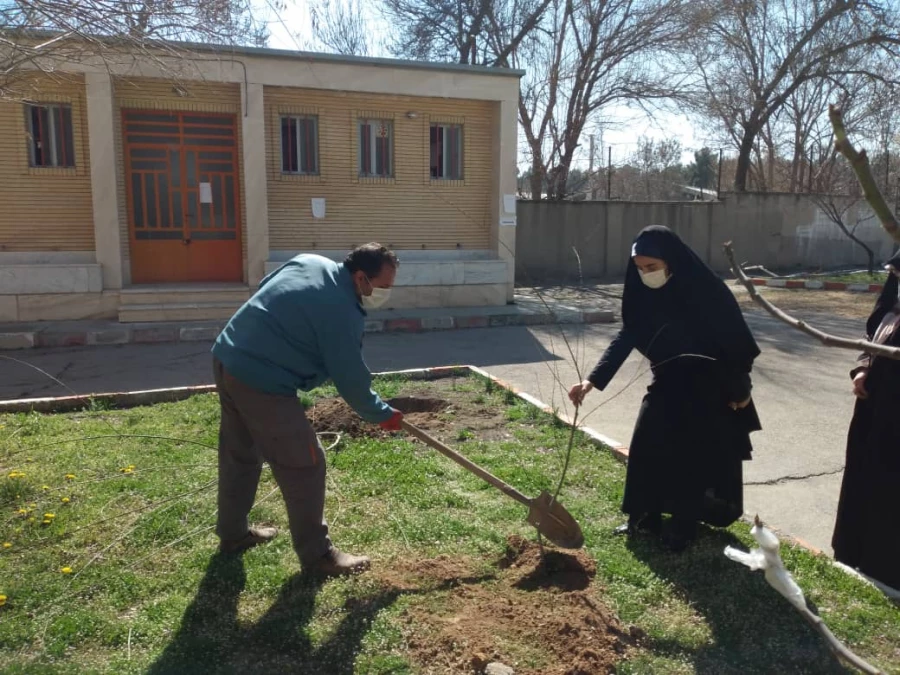 غرس نهال در روز درختکاری در پردیس شهید صدوقی 3