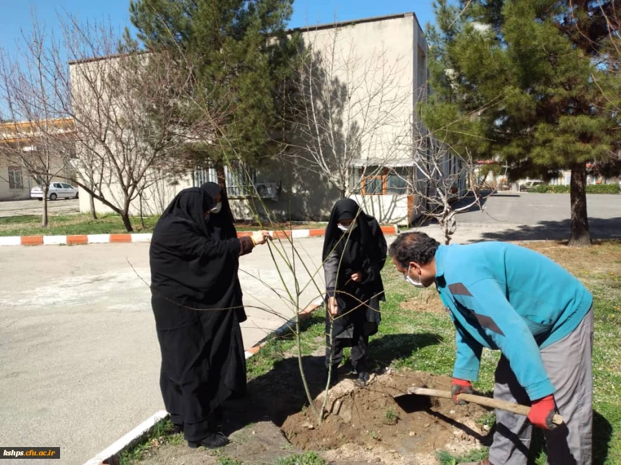 غرس نهال در روز درختکاری در پردیس شهید صدوقی 4
