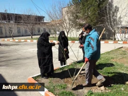 غرس نهال در روز درختکاری در پردیس شهید صدوقی 4