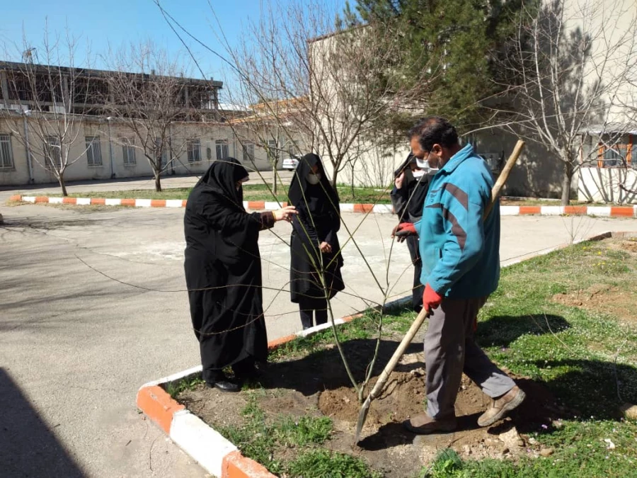 غرس نهال در روز درختکاری در پردیس شهید صدوقی 4