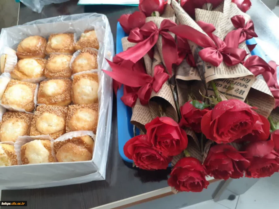 برگزاری مراسم جشن هفته وحدت 4