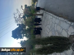 همایش پیاده روی و کوهپیمایی به مناسبت هفته تربیت بدنی ( 26 مهر تا 2 آبان 1401) 3