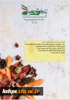 نشریه بهار تحول4 2