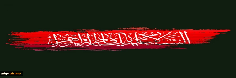 مادرم خورد زمین و جگرم تیر کشید
از غم بال و پرش بال و پرم تیر کشید 2