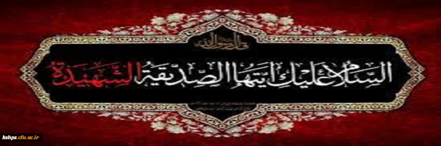 مادرم خورد زمین و جگرم تیر کشید
از غم بال و پرش بال و پرم تیر کشید 2