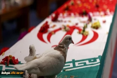 بوی پیراهن خونین کسی می آید