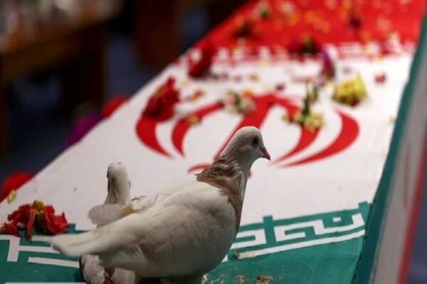 بوی پیراهن خونین کسی می آید 2