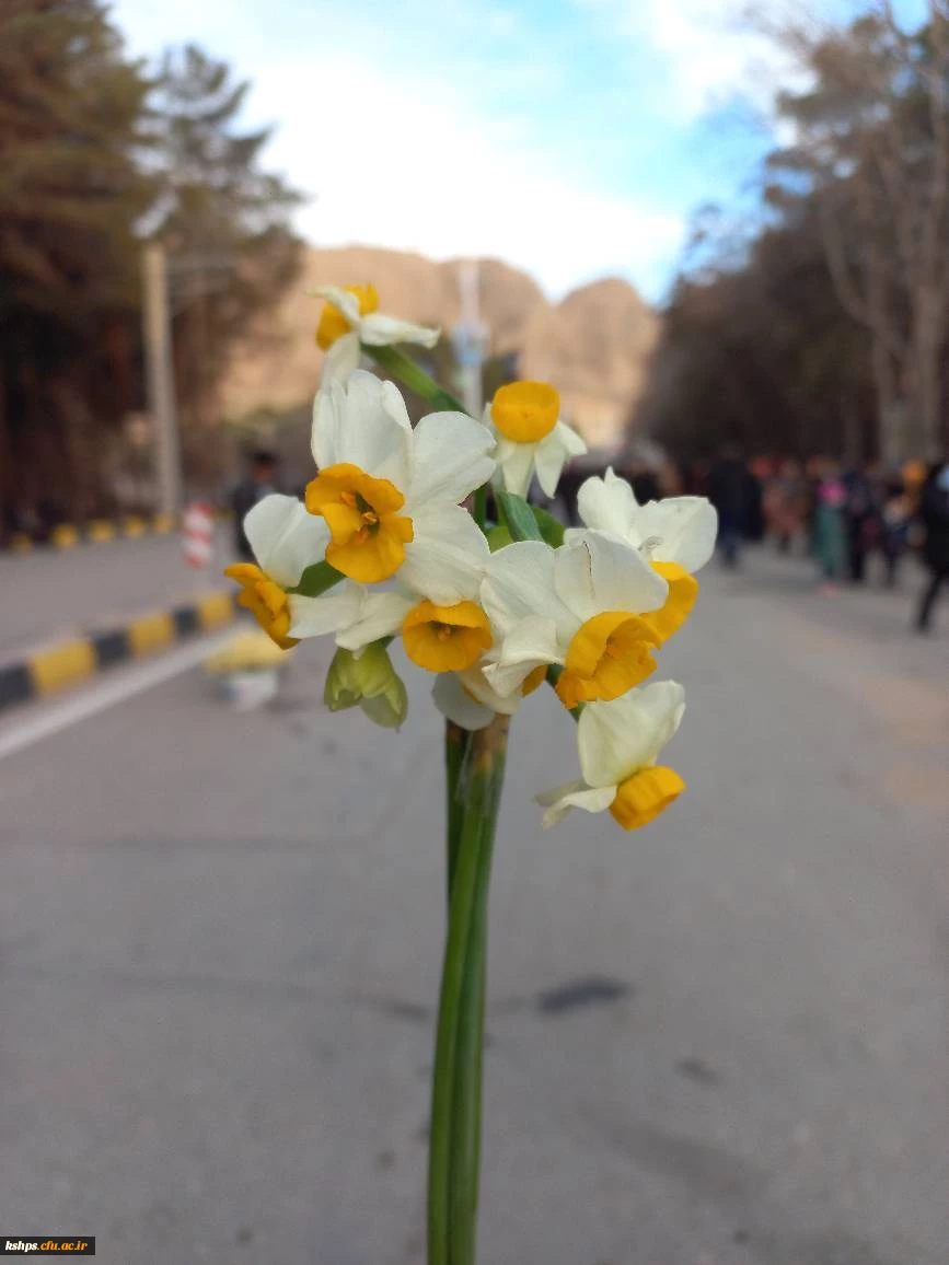 اردوی راهیان مقاومت  3