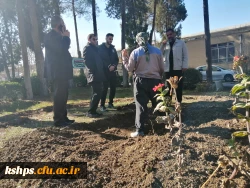 بوی پیراهن خونین کسی می آید 14