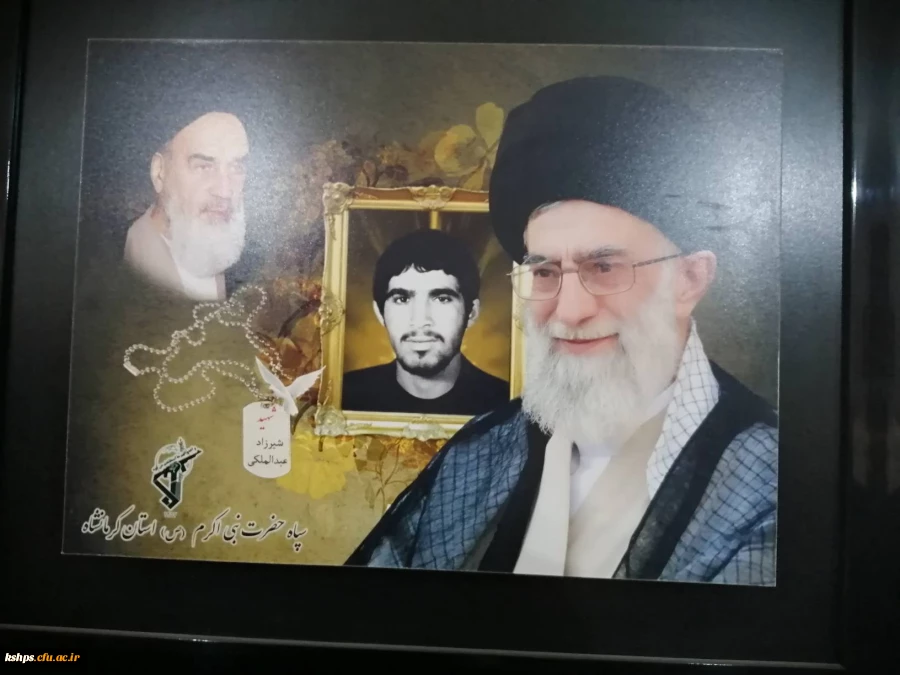 دیدار با همسر شهید شیرزاد عبدالملکی  10