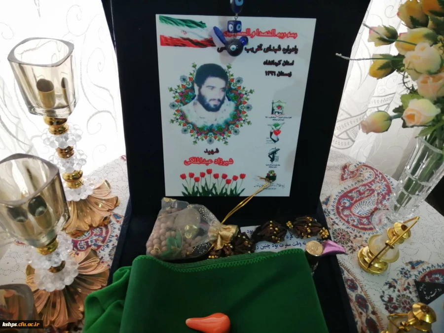 دیدار با همسر شهید شیرزاد عبدالملکی  11