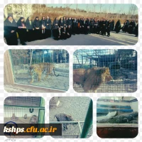 بخش تفریحی  2