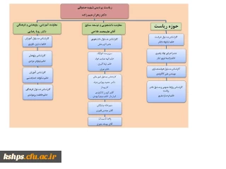 ساختار سازمانی